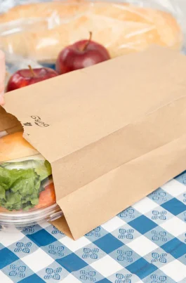 DURO 4 lb Brown Paper Bags Recycled Wholesale 400 pcs