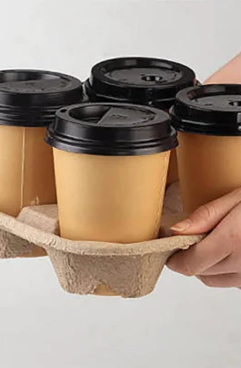 Disposable Tableware