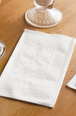 Bulk 2 PLY Dinner Paper Napkins Disposable 20 Bags/Case