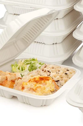 9" Plastic Eco Clamshell 150 pcs