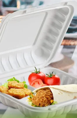 Sample 9" 3 Compartments Plastic Clamshell Food Containers