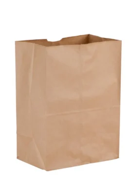 Sample DURO 1/8 Kraft Paper Bags