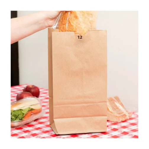 Sample DURO 12 Lb Kraft Paper Bags