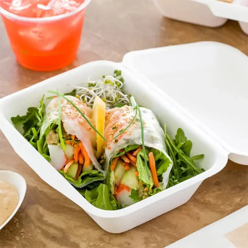 7"x5"x2.6" Compostable Clamshell Containers PFAS Free White 500 pcs - Image 2